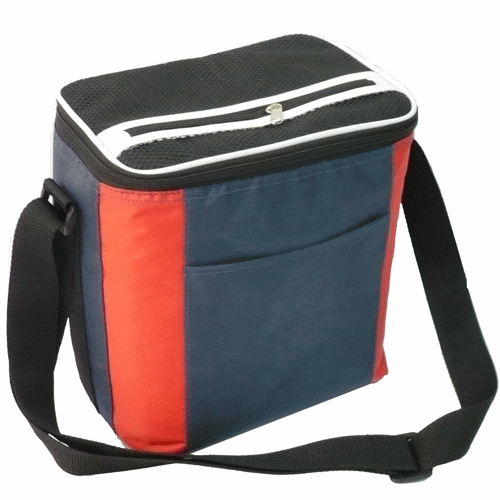 Cooler Bag c001