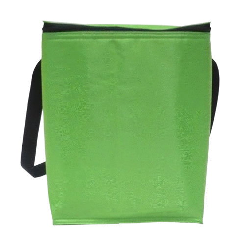 Cooler Bag c021