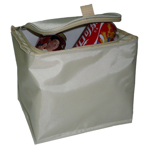 Cooler Bag c024