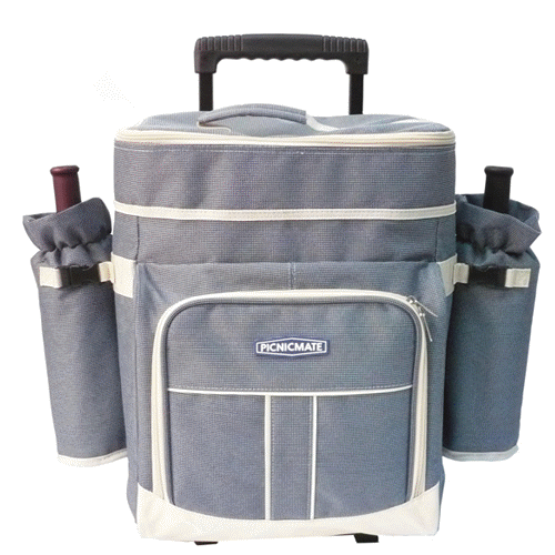 Cooler Bag c011