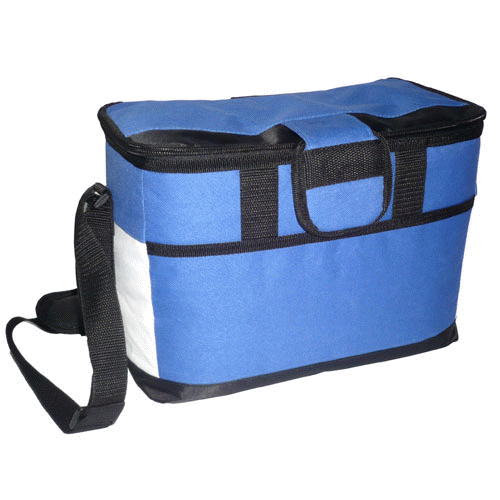 Cooler Bag c031