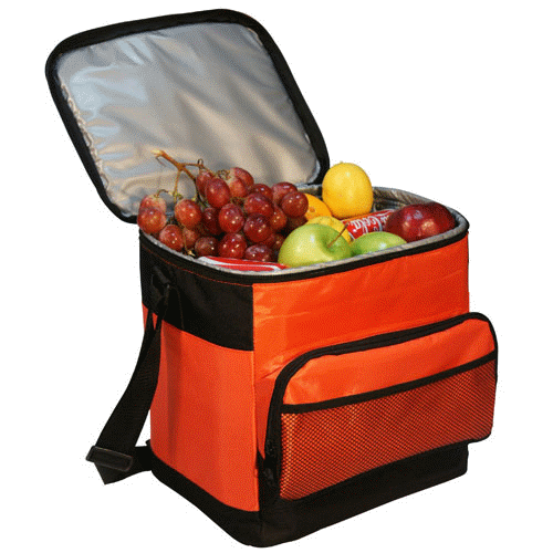 Cooler Bag c047