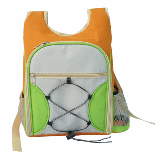 Picnic Bag p010