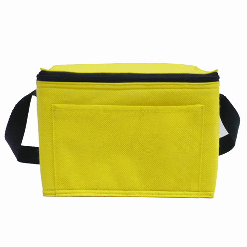 Cooler Bag c006