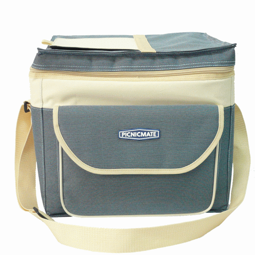 Cooler Bag c005